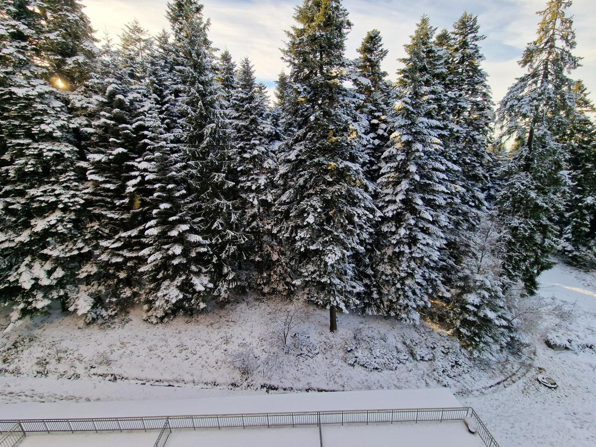 Flora Apartments Tmf Borovets Habitación foto