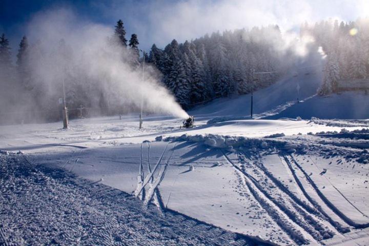 Flora Apartments Tmf Borovets Exterior foto